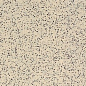 TAASA073 Taurus Granit 30x60 RAKO