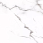 Carrara Rect матовая 60x120 Prime Ceramics