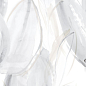 Florida-Pul Blanco RP 59x119 Emigres