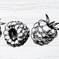 Fruit Laguna Raspberry 10x30 Monopole Ceramica