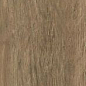 AS3A (AE7M) Axi Brown Chestnut 22,5x90 Atlas Concorde