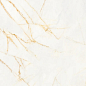 PF60017238 Supreme Hedonism Golden Spider Lux 3D R 60x120 Flaviker
