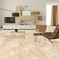 Dynamo Polished 60х120 Italica Tiles