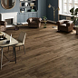 Heartwood Atlas Concorde