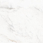 2578 Calacata Soft Vein Polished 60x120 Leopard