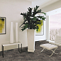 Docklands Serenissima Cir