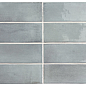 27987 Coco Blue Grass Glossy 5x15 EQUIPE