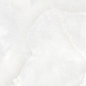 NTT99616M Granite Limestone Onyx Structura 60x120 NT Ceramic