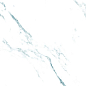 Teal Statuario 60x120 Realistik