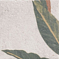 Bottega Decor Samui 20x20 Mainzu