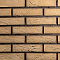 Лофт 13 рядовая 210х50х8 Ecostone