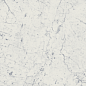 610010001188 Charme Extra Carrara Nat Ret 60x60 Italon