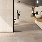 Peyto Dualgres