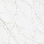 N12045 Carrara Giaola Polished 60x120 Neodom