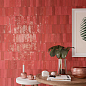 Safi DNA Tiles