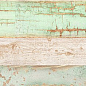 780222 Color Wood 200х800 ProGRES Ceramica