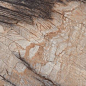 Blendart Camel 80x160 Gravita