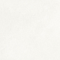 NP_P0074 Delishn white 60х60 Creto