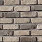 Песчаник 00-25 рядовая 200х60х25 Ecostone