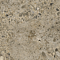 AC126196A Pietra Viva Matt 60x120 Artecera