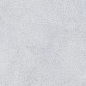 NR207 Maderas Light Grey 60x120 PrimaVera