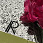 Studio Revoir Paris фото в миниатюре 37