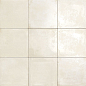 PT03094 Maiolica Bianco 20x20 Mainzu