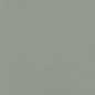 4100635 Sunday Salvia 20x20 41ZERO42