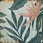 TR3333 Tropic 33х33 Serapool