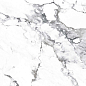 CR4006-A Borghini Silver Carving 60x60 Arcadia Ceramica