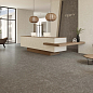 Verity Anthracite Mt Rect. 60x120 STN Ceramica