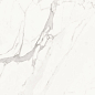 6060PFC15M Porfido Carrara матовый 600x600x9.5 Delacora