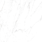 Calacatta Domino Polished 60x60 A-Ceramica