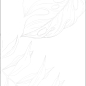 GT1206016603MDR2 Lavina Белый ботаника 60x120 Global Tile