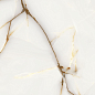 PT12P7070 Marmara Beige Matt 1200х600х9 Protiles фото в миниатюре