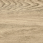 GP1560TAN11 Tanzania Beige матовый 151x602 New Trend