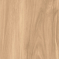 CW-RT09-B Fossil Wood Brich Rustic 20x120 Creanza
