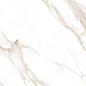 Statuario Brown Glossy 60x60 Modern Tile