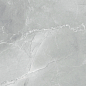 6060AMB15P Armani Marble Gray 60x60 LCM