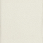 A038702 Mud White 7,5x30 CARMEN