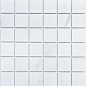 PR4848-32 Porcelain 306х306 NSmosaic