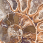 FM3333 Fossil Mix 33х33 Serapool