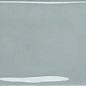 PT02911 Earth Powder Gloss 7.5x30 Ribesalbes