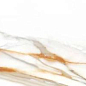 224268 Calacatta Gold Matt 39.6x119.2 Colorker