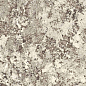 L628600 Alaska White Lapped 8mm 60x120 IRIS FMG