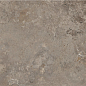 NTT9450S Pietra Brown Struttura 60x120 NT Ceramic фото в миниатюре 8