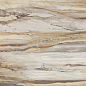 FBS01MQ041 LM FOSSIL MC R E 100X200 Roca Ceramica