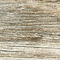 TMG 41RT Moonlight 20x120 Novabell