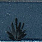 M96W Rice Blu dec Leaf Lux 5x15 MARAZZI Italy