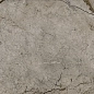 800 Passion Dark 29.5x89.5 Eurotile Ceramica